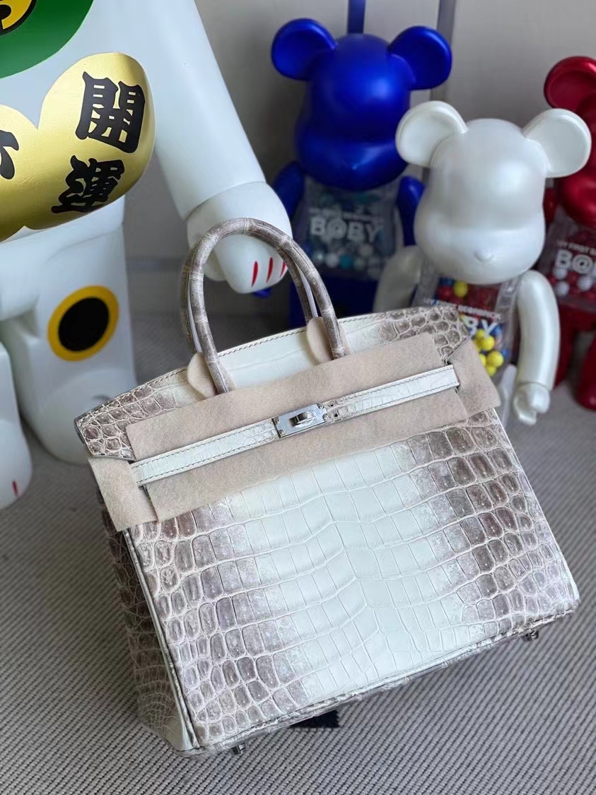 Hermès（爱马仕）Birkin 铂金包 Himalaya 喜马拉雅 银扣 顶级手缝 定制 25cm
