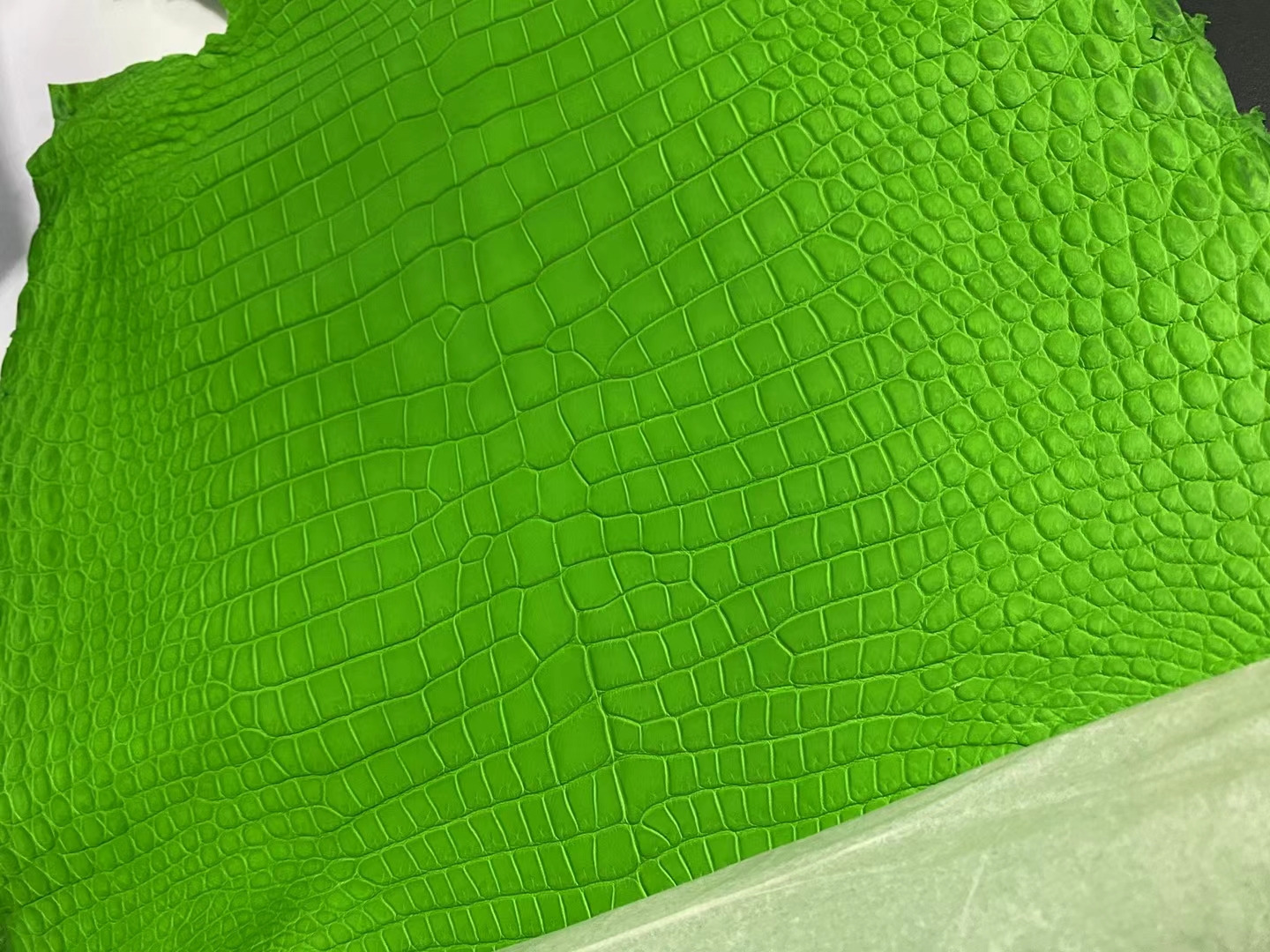 Hermès（爱马仕）新到皮 雾面倒v澳洲湾鳄 1k 竹子绿 matte porosus crocodile