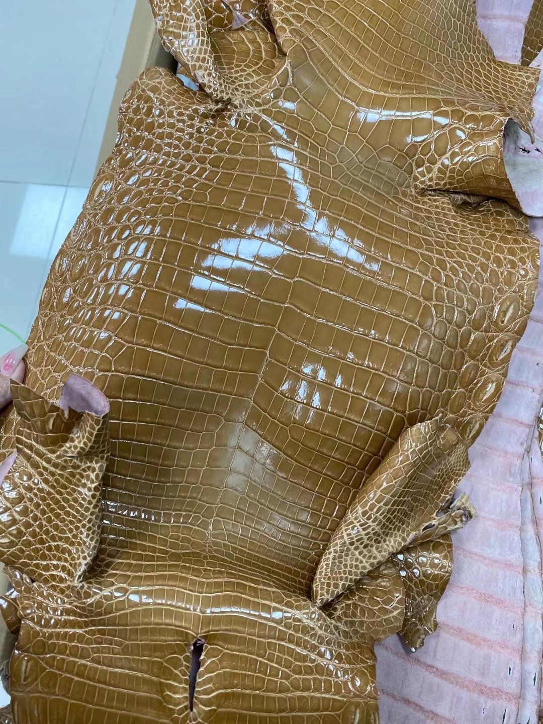 Hermès（爱马仕）新货 皮料 鳄鱼皮 芝麻黄
