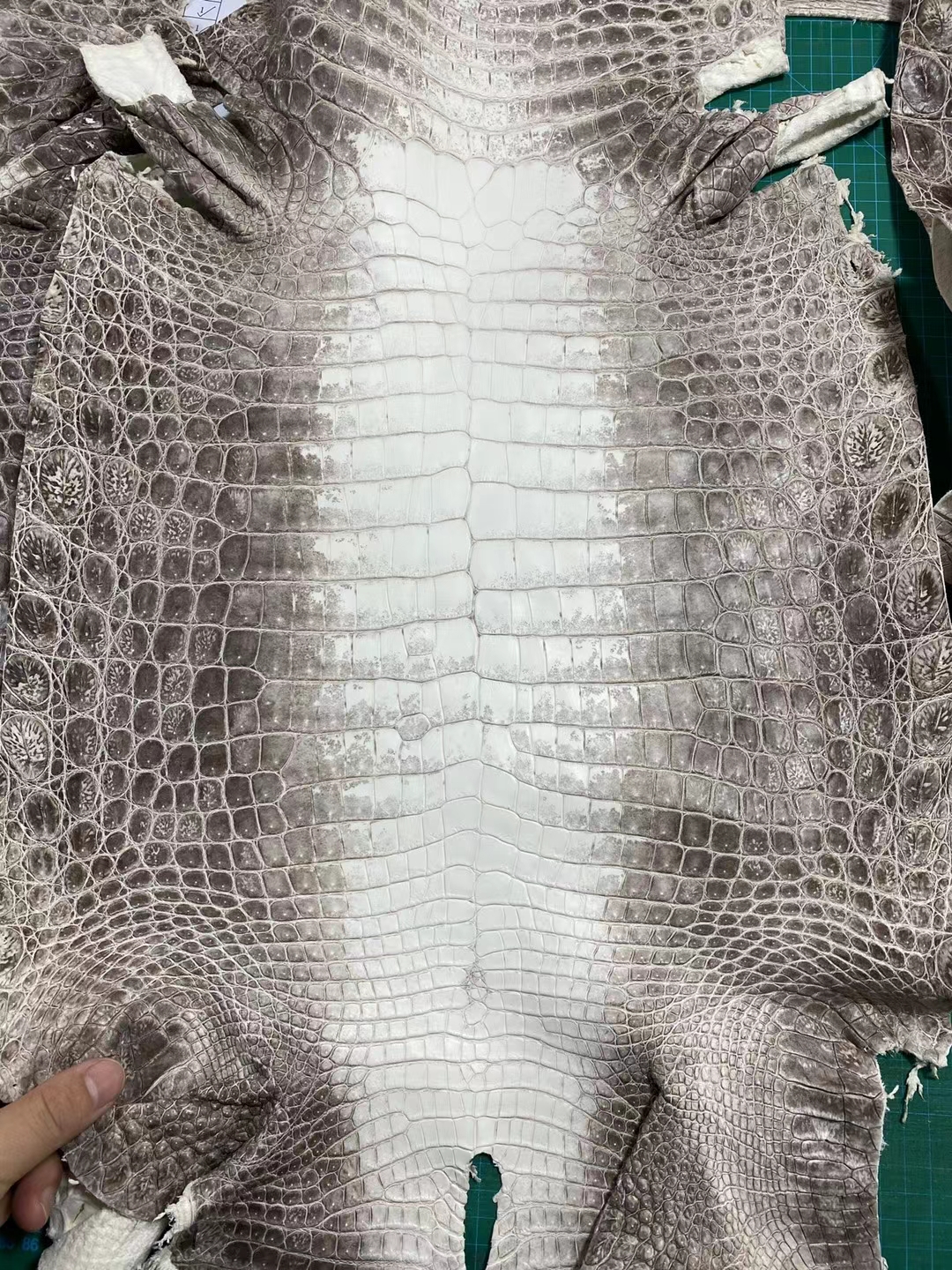 Hermès（爱马仕）新皮 喜马拉雅 中间白带灰的风格