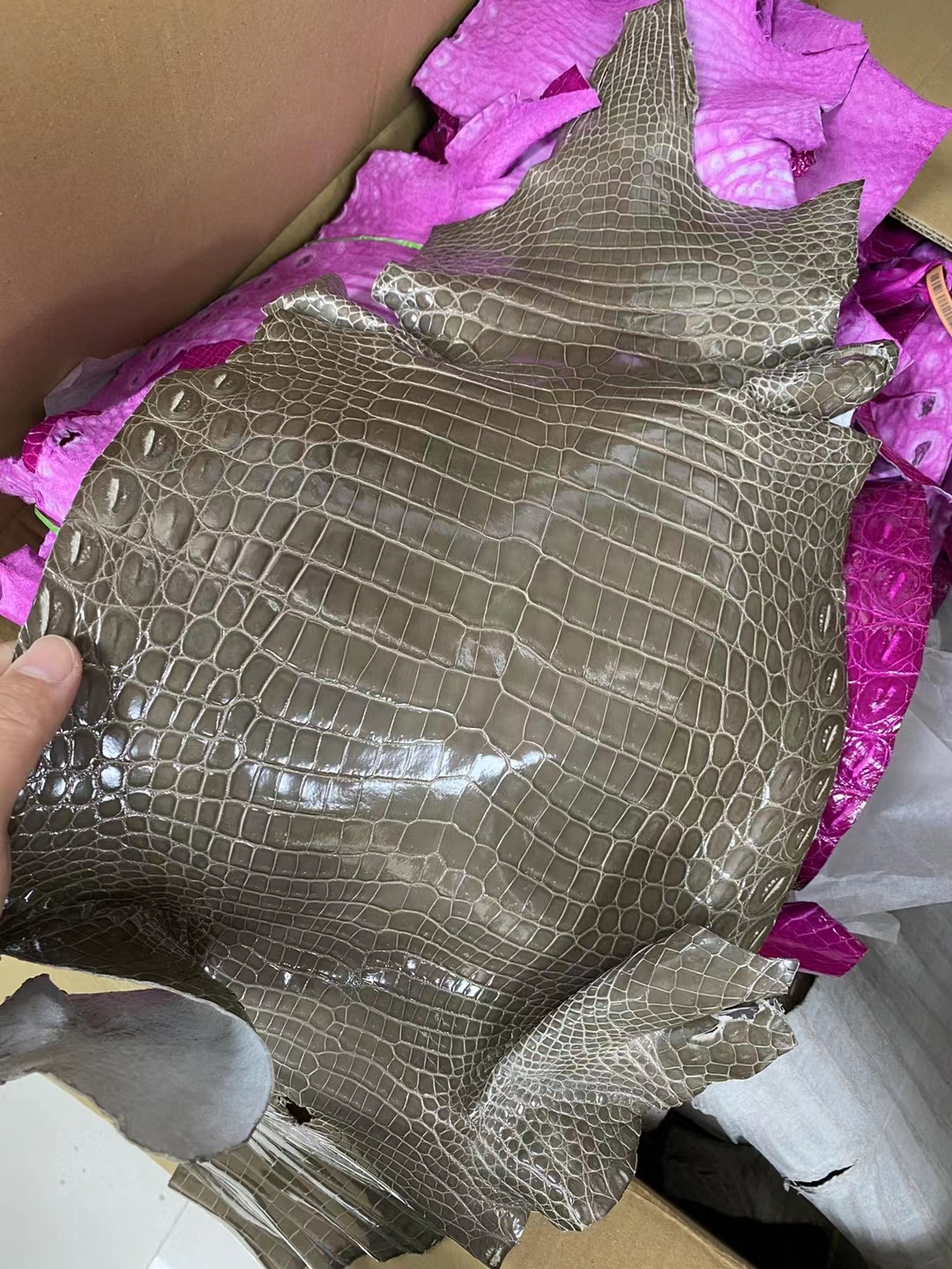 Hermès（爱马仕）新到皮 亮面尼罗鳄鱼 Ck18 大象灰 shiny nilo crocodile