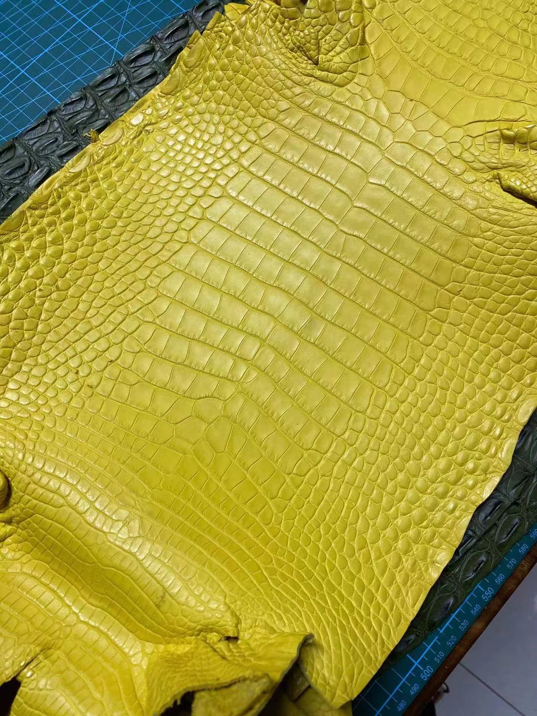 Hermès（爱马仕）新到皮 雾面美洲鳄鱼 M9 金盏花黄