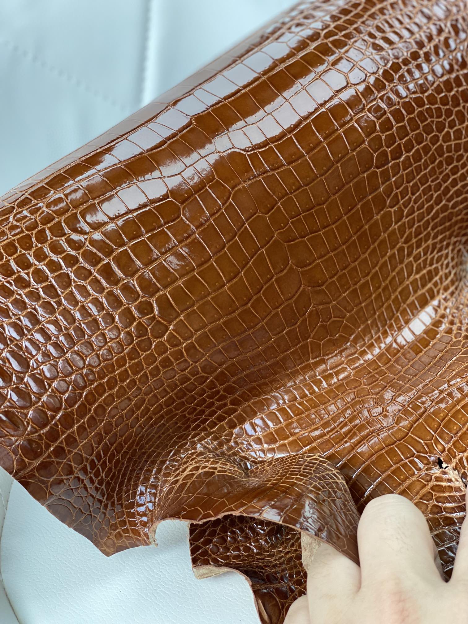 Hermès（爱马仕）新到鳄鱼 Porosus shiny 亮面澳洲湾鳄 ck31 蜜糖棕 Miel