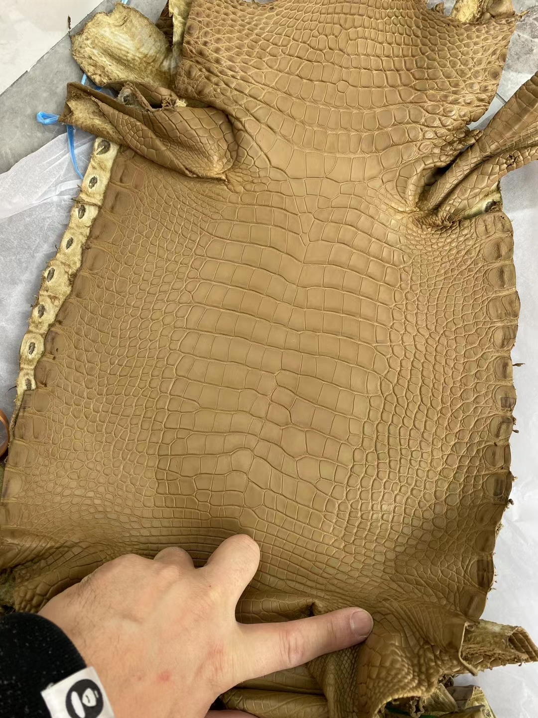 Hermès（爱马仕）新到皮 雾面美洲鳄鱼 2H 牛皮纸色 Matte Alligator Crocodile