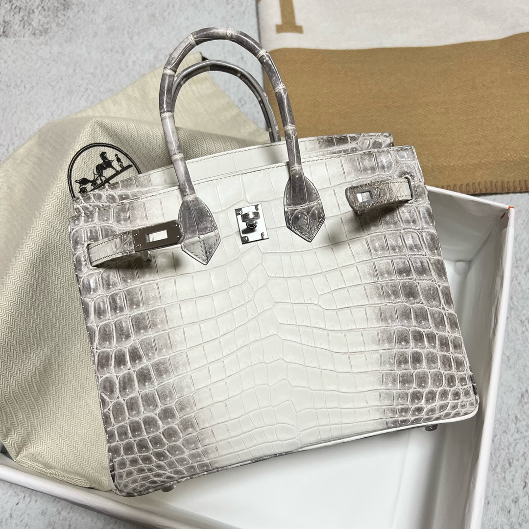Hermès（爱马仕）Birkin 铂金包 Himalaya 喜马拉雅 银扣 PHW 25cm 顶级手缝