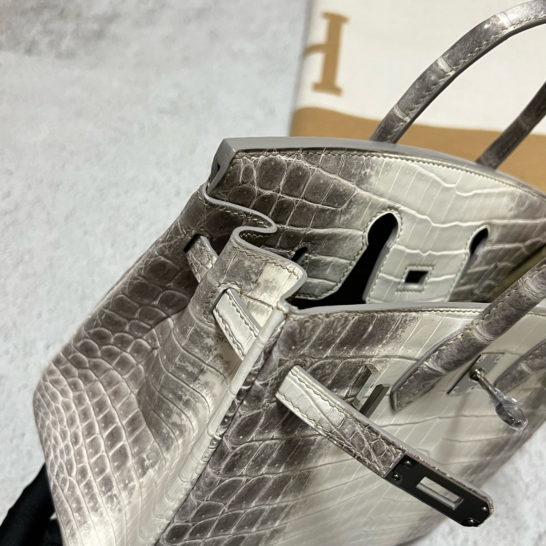 Hermès（爱马仕）Birkin 铂金包 Himalaya 喜马拉雅2 银扣 PHW 25cm 顶级手缝