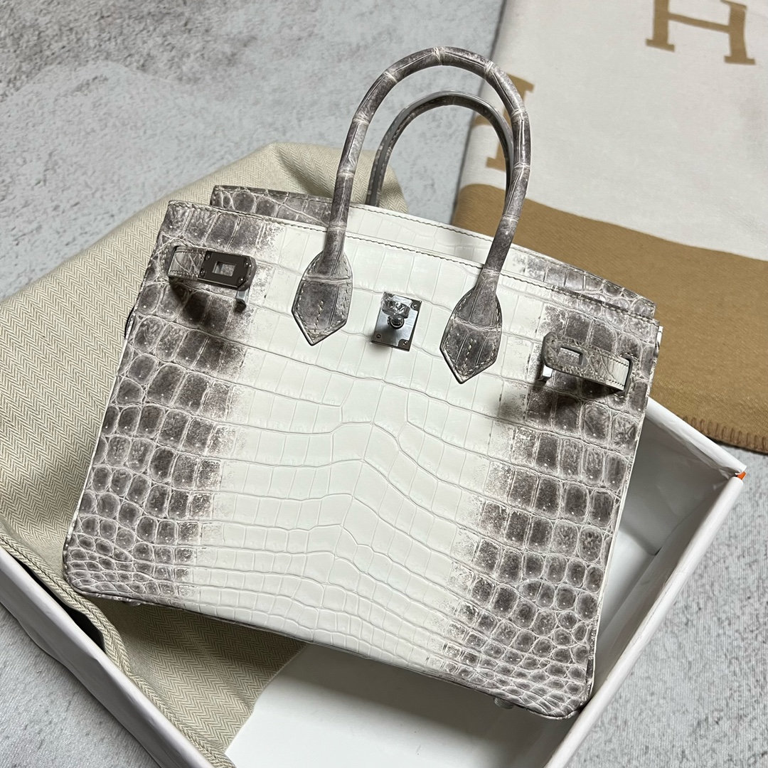Hermès（爱马仕）Birkin 铂金包 Himalaya 喜马拉雅2 银扣 PHW 25cm 顶级手缝