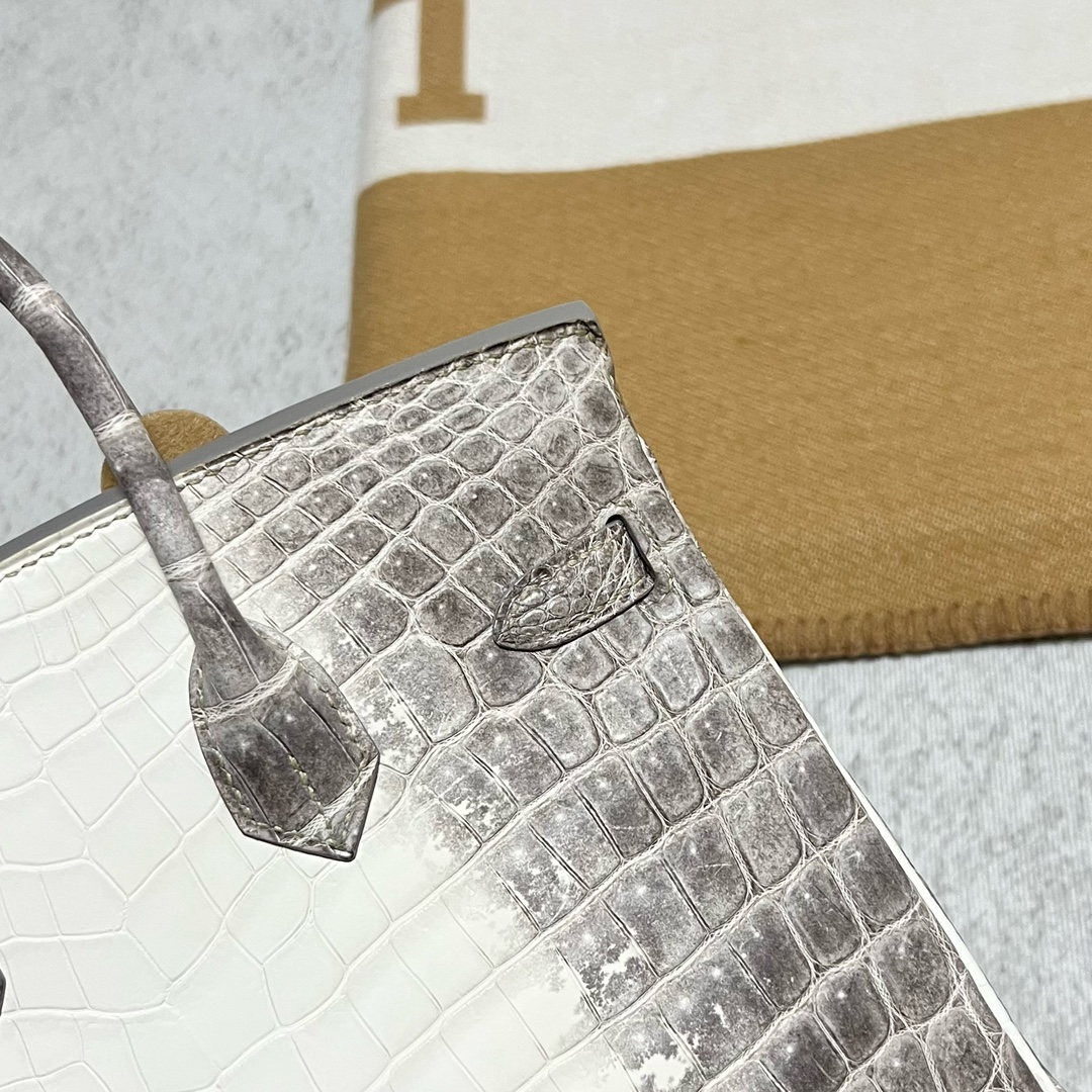 Hermès（爱马仕）Birkin 铂金包 Himalaya 喜马拉雅2 银扣 PHW 25cm 顶级手缝