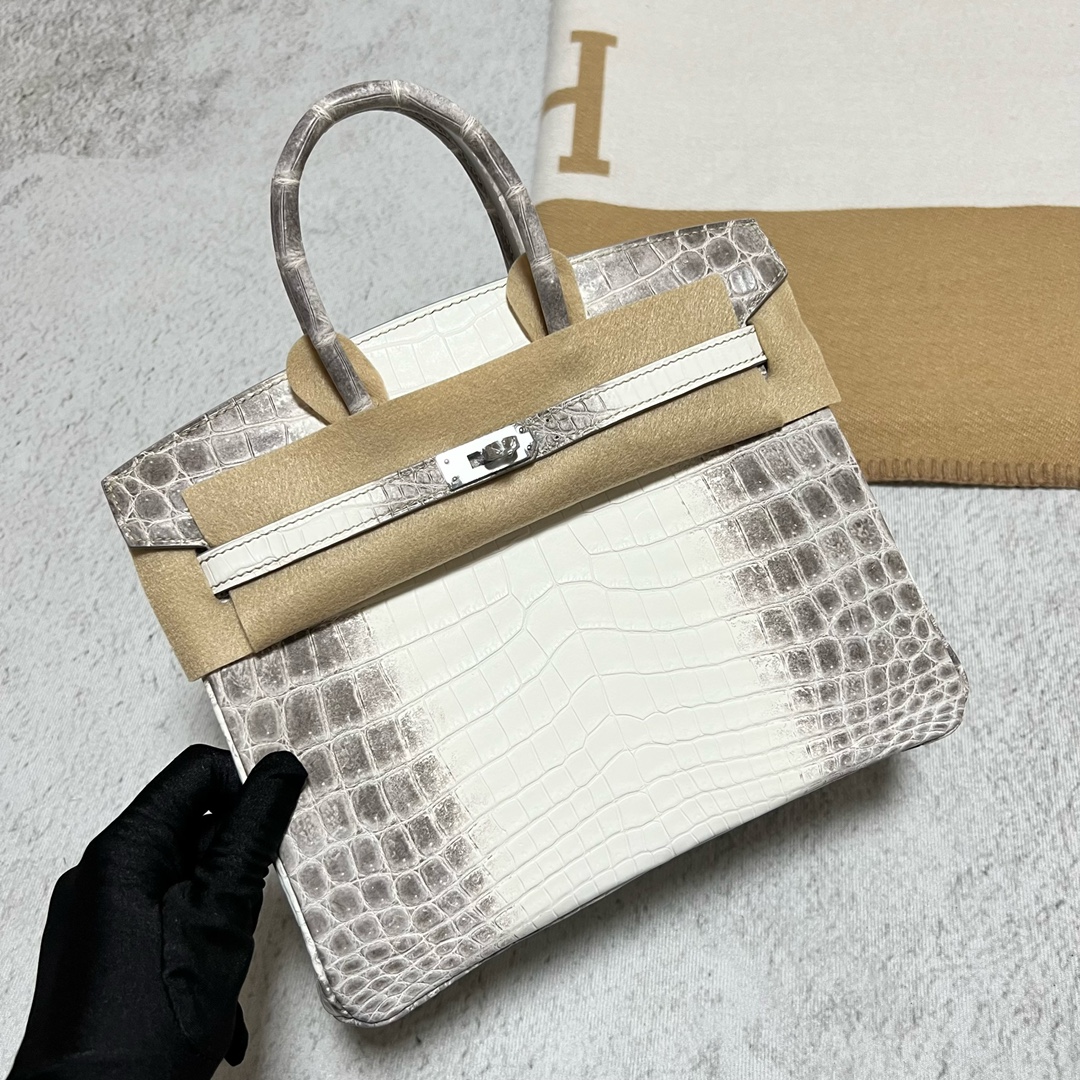 Hermès（爱马仕）Birkin 铂金包 Himalaya 喜马拉雅2 银扣 PHW 25cm 顶级手缝