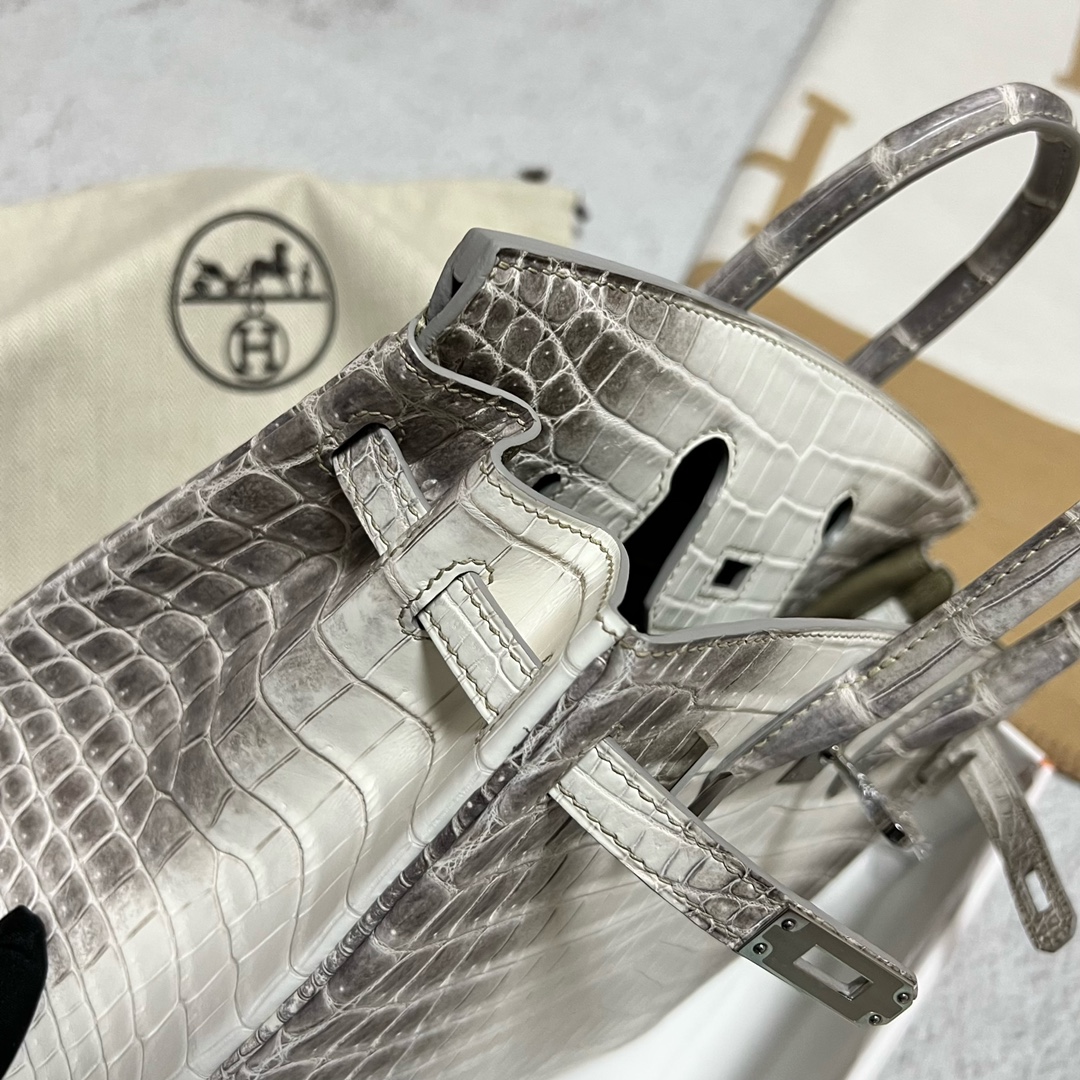 Hermès（爱马仕）Birkin 铂金包 Himalaya 喜马拉雅 银扣 PHW 25cm 顶级手缝