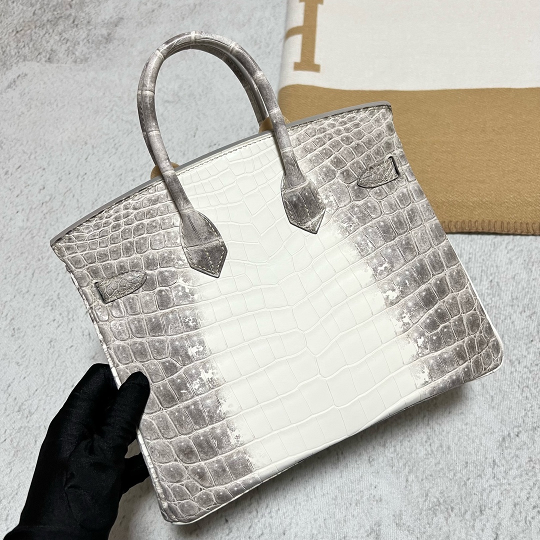 Hermès（爱马仕）Birkin 铂金包 Himalaya 喜马拉雅2 银扣 PHW 25cm 顶级手缝