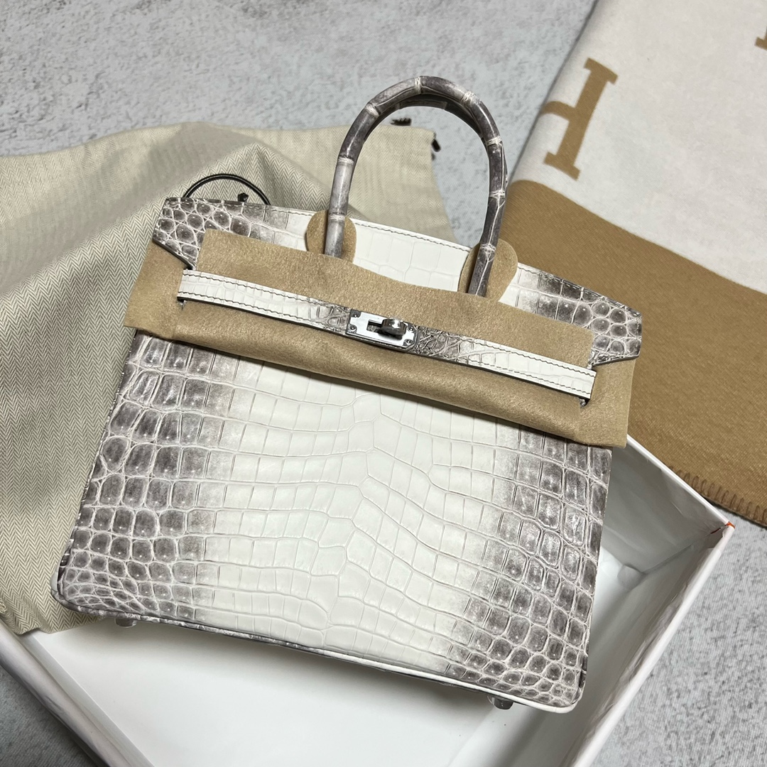 Hermès（爱马仕）Birkin 铂金包 Himalaya 喜马拉雅 银扣 PHW 25cm 顶级手缝