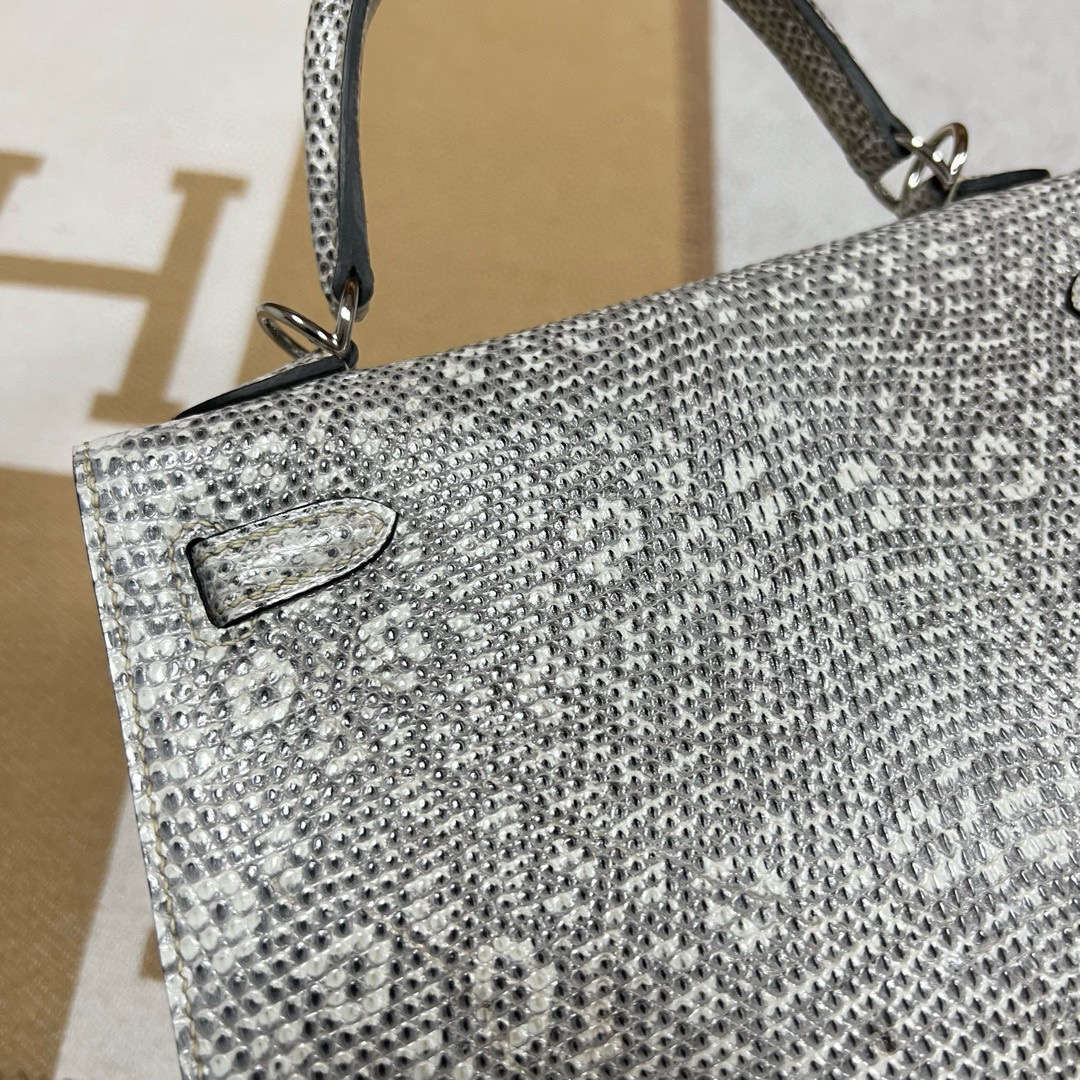 Hermès（爱马仕）Kelly 凯莉包 Lizard 进口蜥蜴皮 01自然色 银扣 25cm