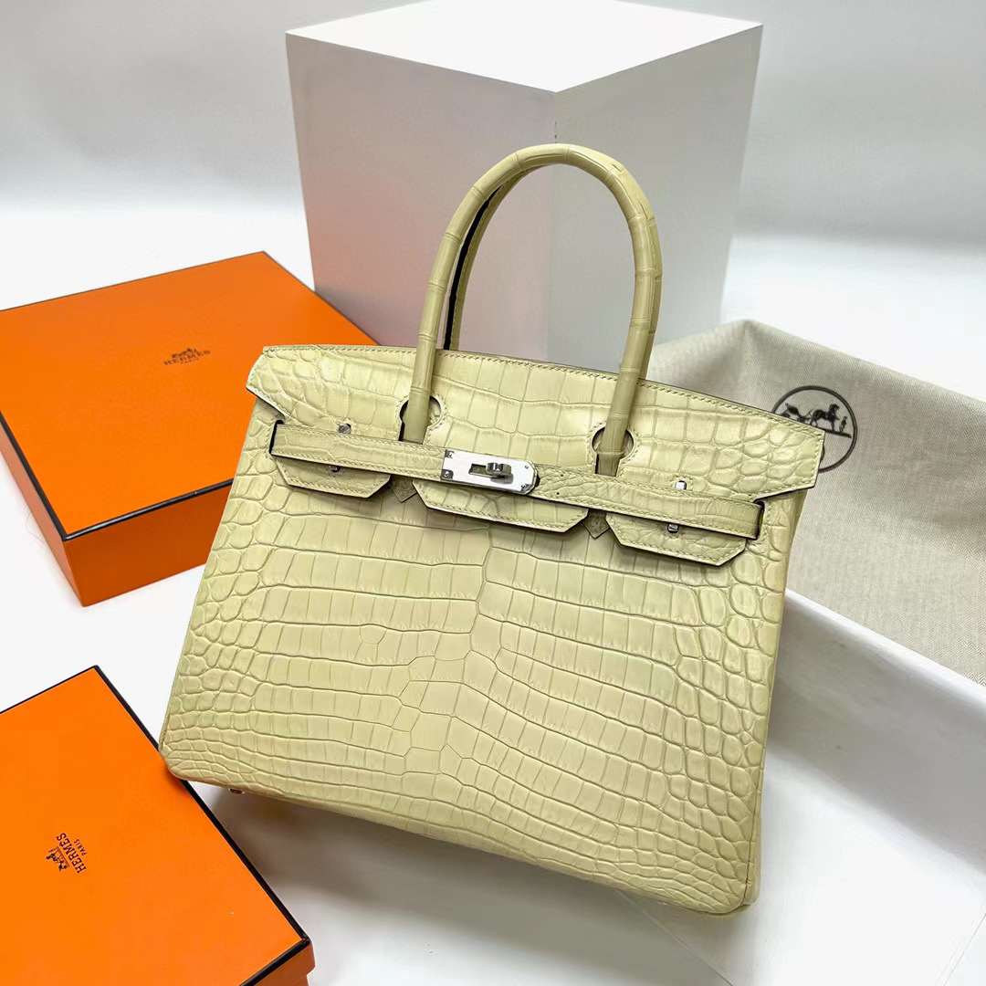 Hermès（爱马仕）Birkin 铂金包 雾面尼罗鳄鱼 Matte Nilo Crocodile 19 Abricot 杏色 银扣 30cm 全手工蜡线缝制 Phw