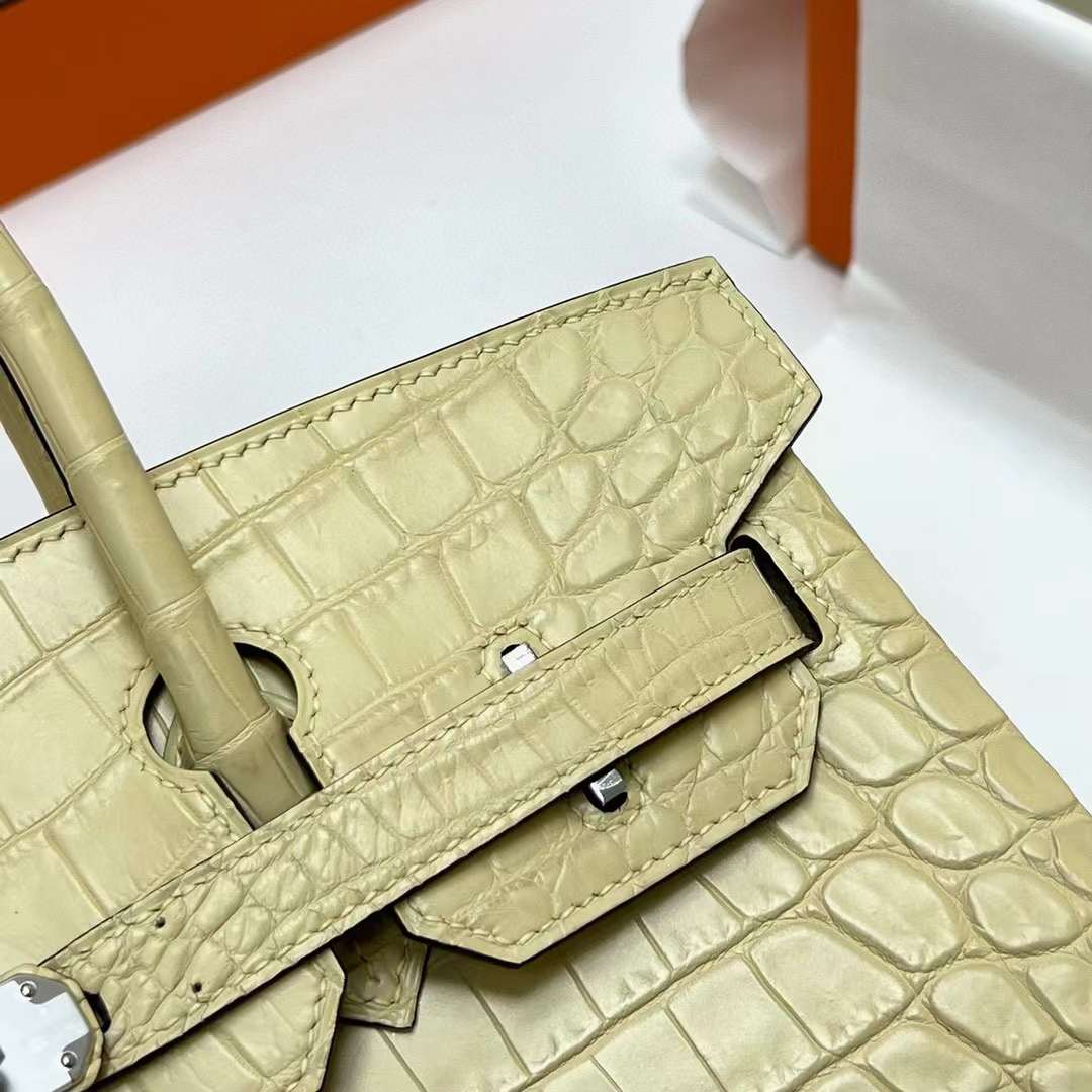 Hermès（爱马仕）Birkin 铂金包 雾面尼罗鳄鱼 Matte Nilo Crocodile 19 Abricot 杏色 银扣 30cm 全手工蜡线缝制 Phw