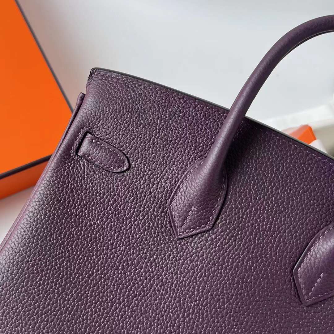 Hermès（爱马仕）Birkin 铂金包 Togo皮 进口德国小牛皮 59 葡萄紫 金扣 25cm 全手工蜡线缝制 Ghw