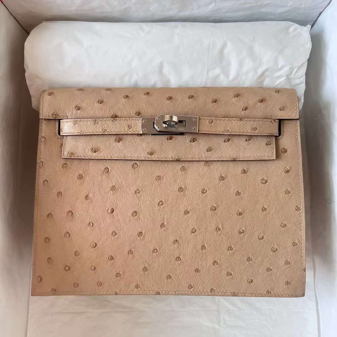 Hermès（爱马仕）Kelly Danse Ostrich 进口鸵鸟皮 S2 风衣灰 银扣 22cm 全手工蜡线缝制 Phw