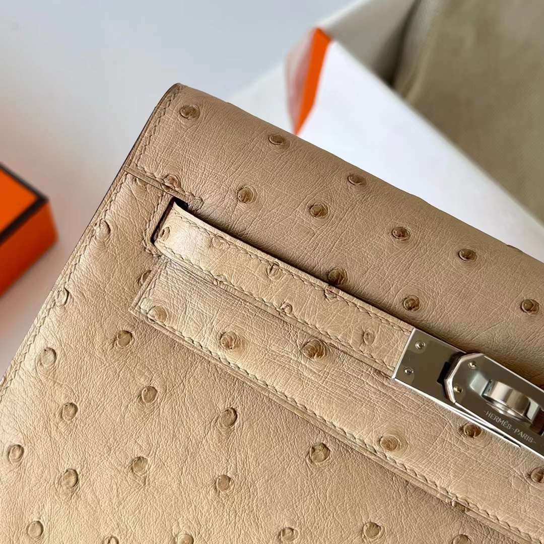 Hermès（爱马仕）Kelly Danse Ostrich 进口鸵鸟皮 S2 风衣灰 银扣 22cm 全手工蜡线缝制 Phw