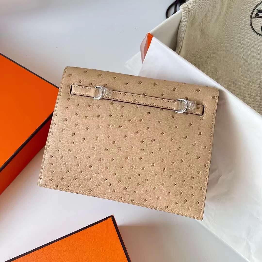 Hermès（爱马仕）Kelly Danse Ostrich 进口鸵鸟皮 S2 风衣灰 银扣 22cm 全手工蜡线缝制 Phw