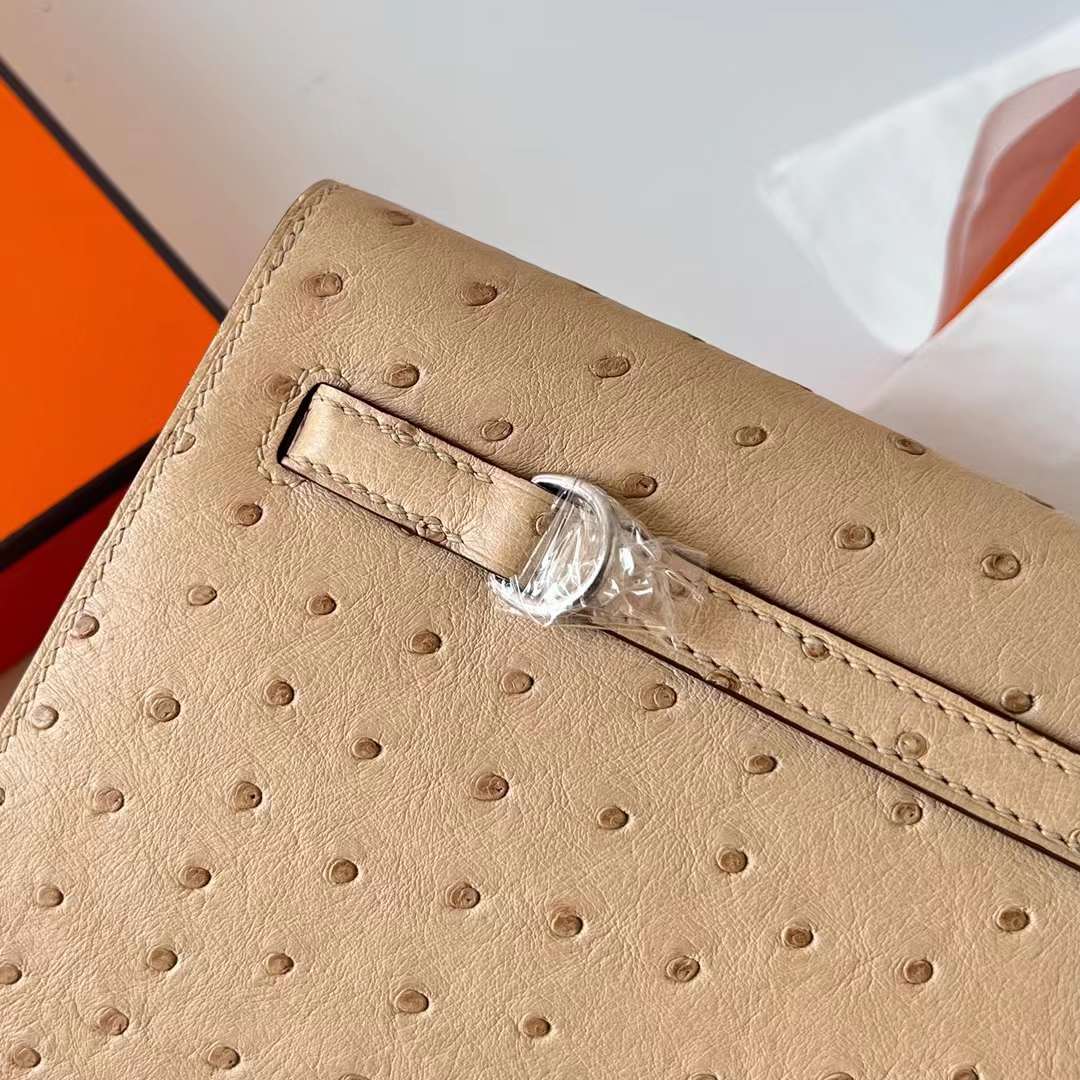Hermès（爱马仕）Kelly Danse Ostrich 进口鸵鸟皮 S2 风衣灰 银扣 22cm 全手工蜡线缝制 Phw
