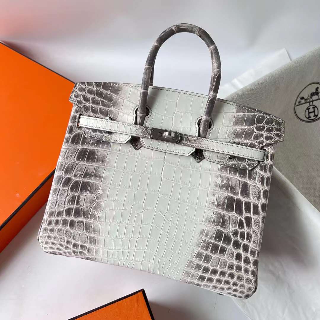 Hermès（爱马仕）Birkin 铂金包 雾面鳄鱼皮 Himalayan 喜马拉雅 银扣 25cm 全手工蜡线缝 Phw