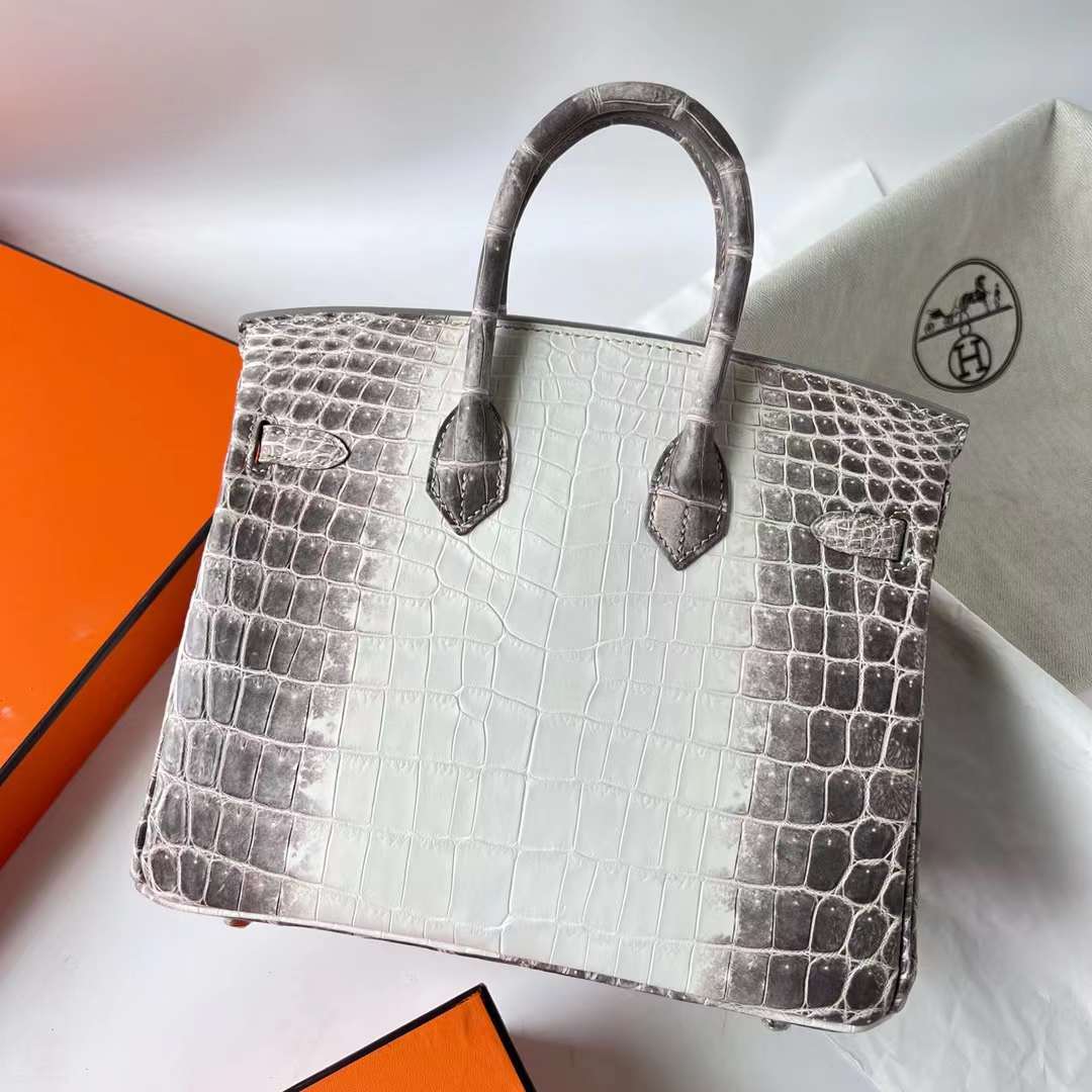 Hermès（爱马仕）Birkin 铂金包 雾面鳄鱼皮 Himalayan 喜马拉雅 银扣 25cm 全手工蜡线缝 Phw