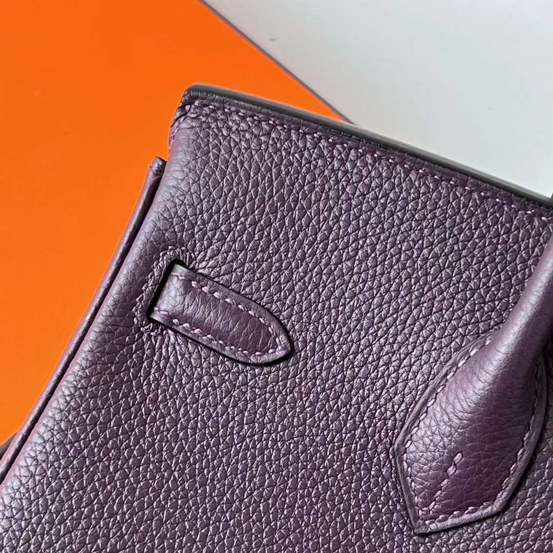 Hermès（爱马仕）Birkin 铂金包 Togo皮 顶级小牛皮 Ck59 葡萄紫 金扣 25cm 全手工蜡线缝 Ghw